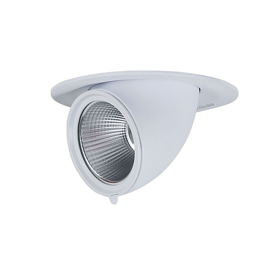 چراغ LED دانلایت سفید زاویه پذیر 20 وات آفتابی با ماژول برق مستقیم الینا مازی نور 