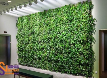 دیوار سبز چیست؟