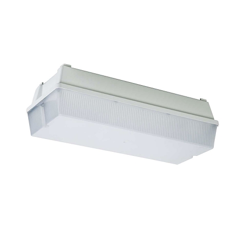 چراغ LED اضطراری ضد نم و غبار 3 وات یخی (با باتری فقط برای روشنایی اضطراری) فانال مازی نور