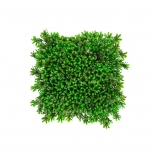 دیوار سبز مصنوعی مدل رزماری رنگ سبز مانا چمن