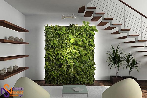 اجرای دیوار سبز